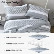 Bedduvit Gray/White Queen Size Quilt Set - 100% Cotton Grey Floal Striped Summer Quilt for Queen Bed, Reversible Classic Lightweight Queen Bedspread, 3-Piece Bedding Set All Season (98x90, Gray)