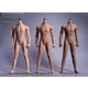 thumbnail image 4 of Ounissouiy masculina sin cabeza Sexy Muscle escala 1/6 figuras de acción de acero inoxidable coleccionable en miniatura mediana para Muñecas y casas de muñecas Color de piel, 4 of 6