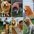 thumbnail image 6 of SharkTRUE Lion Mane Wig for Dogs with Ears - Funny Pet Costume for Halloween & Christmas, Realistic Lion Mane for Medium to Large Dogs, 6 of 9