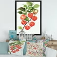 thumbnail image 3 of Designart 'A Red Physalis Branch' Traditional Framed Art Print, 3 of 4