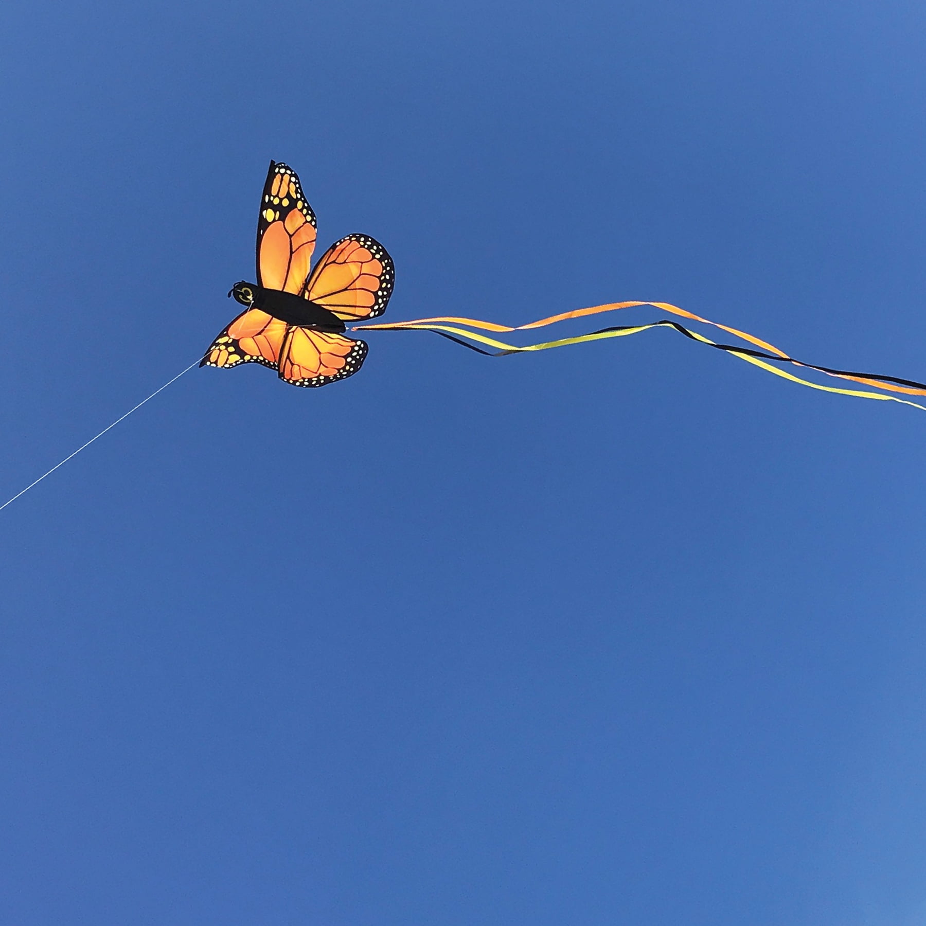 In the Breeze 3289 — 49" Monarch Butterfly Kite - Fun, Easy Flying Kite for All Ages