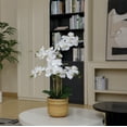 thumbnail image 5 of 30" White Orchid Arrangement in a Large Tan Ceramic Planter | Real Touch White Moth Phalaenopsis Orchids by Fiori Sempre, 5 of 6