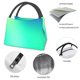 thumbnail image 4 of Easygdp blue green colors Bolsa de Almuerzo Insulada Reutilizable, Bolsa de Mano y Bandolera para Oficina, Trabajo, Viajes, 4 of 6