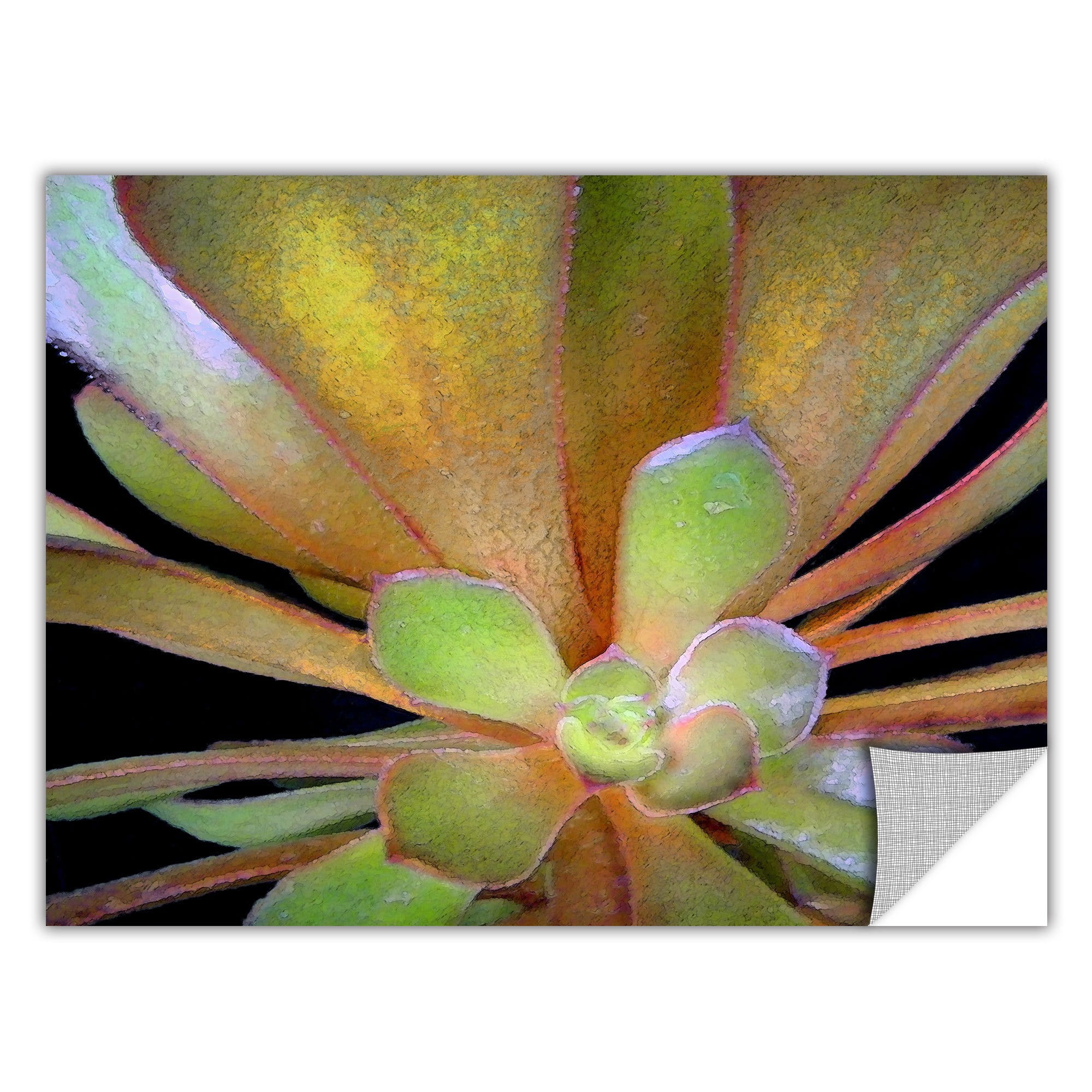 Dean Uhlinger "Suculentos Estudio" Removable Wall Art