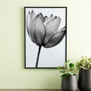 Studio Decor Basics Black Multipurpose Frame