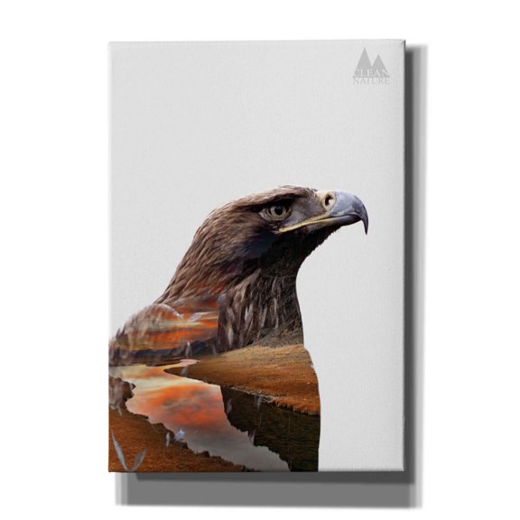 Epic Graffiti 'Eagle' by Clean Nature, Giclee Canvas Wall Art, 18"x26"