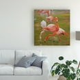 thumbnail image 3 of Trademark Fine Art 'Flamingo I' Canvas Art by Chuck Larivey, 3 of 4