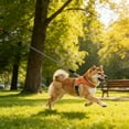 thumbnail image 1 of Breathable No Pull Harness With Reflective Leash Soft Cationic Mesh Vest For Small Easy On Off Adjustable Fit All Season Comfort Pet Supplies, 1 of 3