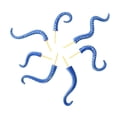 thumbnail image 3 of 7 piezas de tentáculos de monstruo marino, tentáculos de pulpo, estacas impermeables para Halloween Azul, 3 of 8