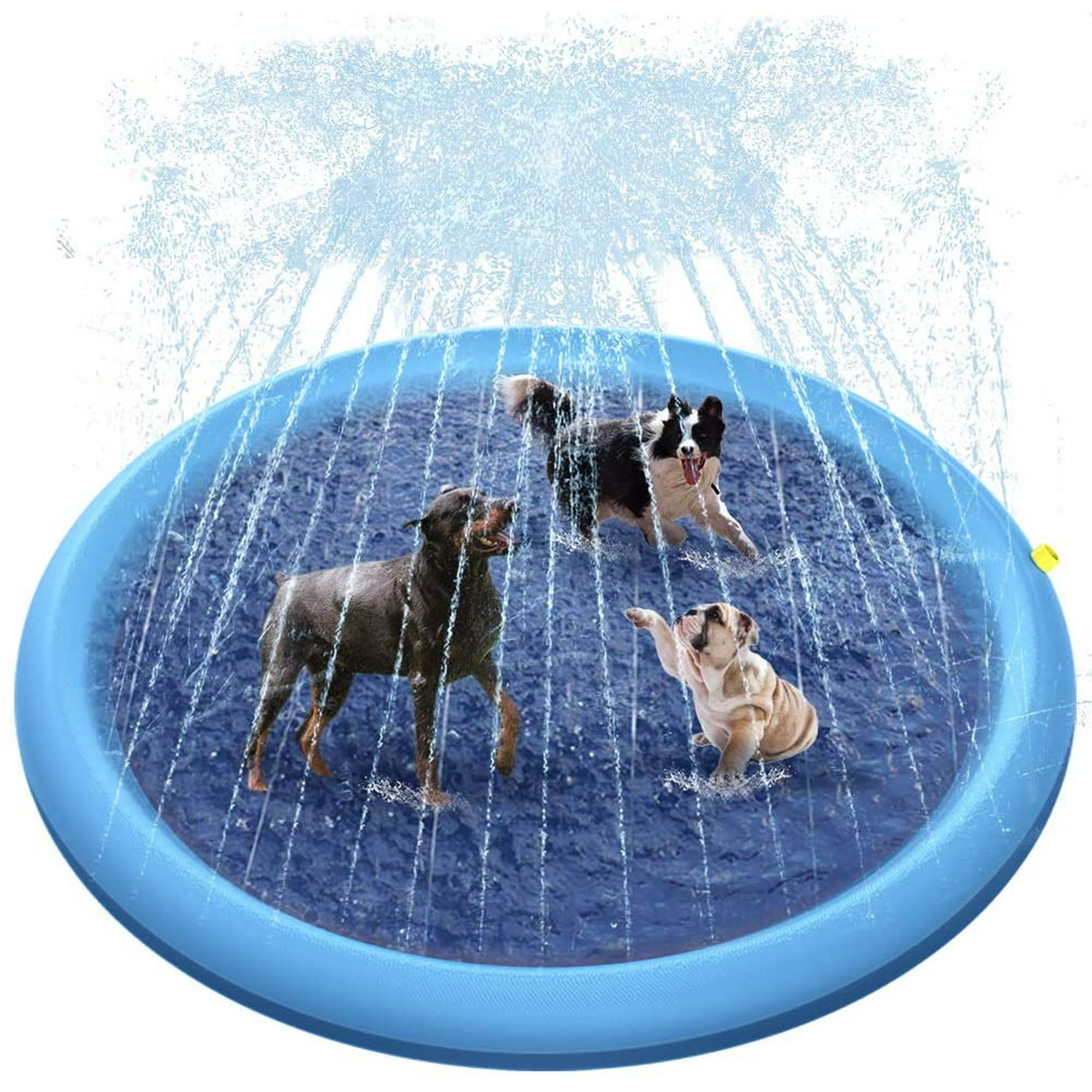 Dog swimming toys online