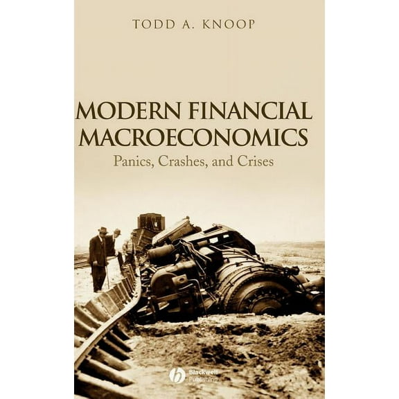 Modern Financial Macroeconomics: Panics, Crashes, and Crises, (Hardcover)