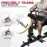 HeeH Seated Calf Raise Machine:Calf Exercise Leg Training Adjustable Equipment, 660LBS Home Gym Black