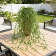 thumbnail image 4 of Plantas artificiales colgantes de 80 cm, paquete de 3, hiedra artificial con hojas de ratán para decoración de paredes, interiores y exteriores, bodas, hogar y jardín (verde). Rkxzt, 4 of 8