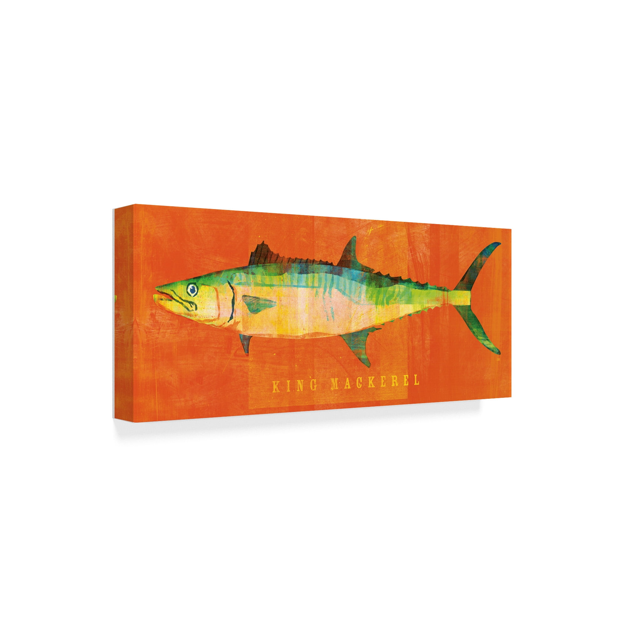 Trademark Fine Art 'King Mackerel' Canvas Art by John W. Golden