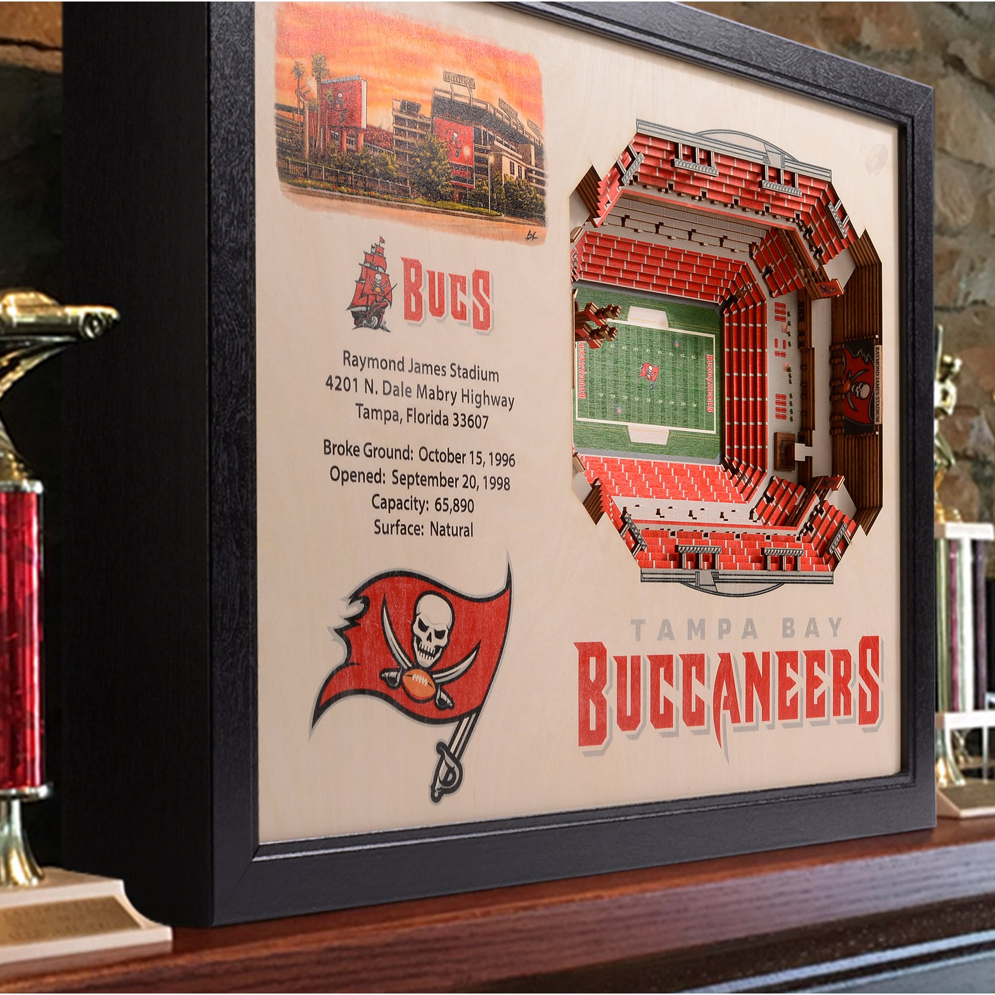 Tampa Bay Buccaneers Raymond James Stadium 25.5" x 19.5" Stadium Views Wall Art