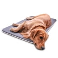 thumbnail image 3 of Dog Beds for Large Dogs Memory Foam Dog Mat Orthopedic Dog Bed Kennel Pad Crate Mat Washable | Perfect Sleep Bedding Pads for Carrier Cage, 3 of 5
