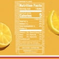 thumbnail image 5 of Sparkling Ice® Naturally Flavored Sparkling Water, Classic Lemonade 17 Fl Oz, 5 of 6