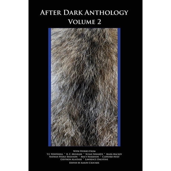 After Dark: Volume 2, (Paperback)