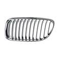 thumbnail image 1 of Parrilla TONG YANG 335i 2009 A 2011 Izq., 1 of 4