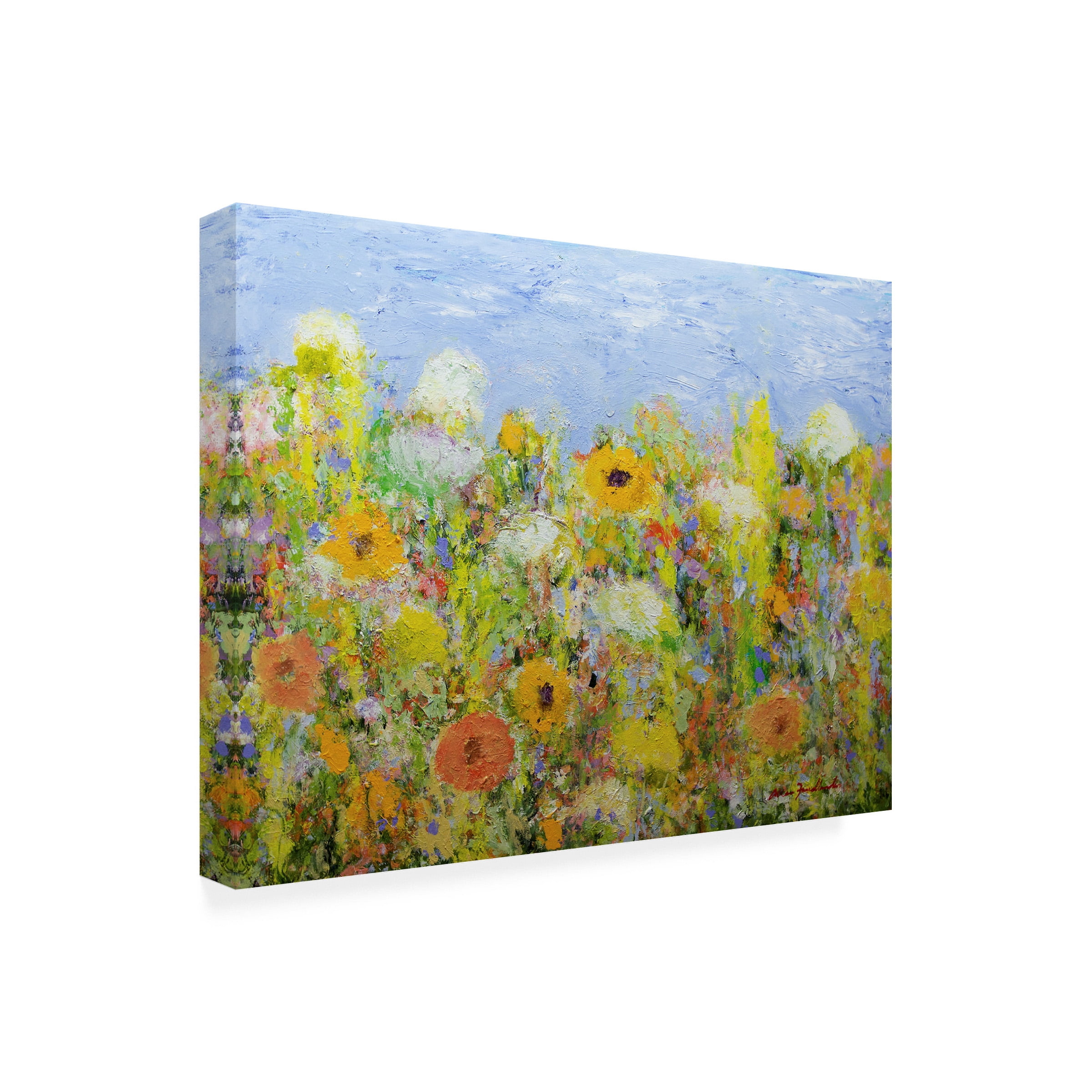 Allan Friedlander 'Dandelion Dust' Canvas Art