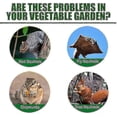 thumbnail image 2 of Squirrel Repellent Pack, Natural Chipmunk Deterrent for Bird Feeders, Garden, and Attic, Safe for Pets, 2 of 4