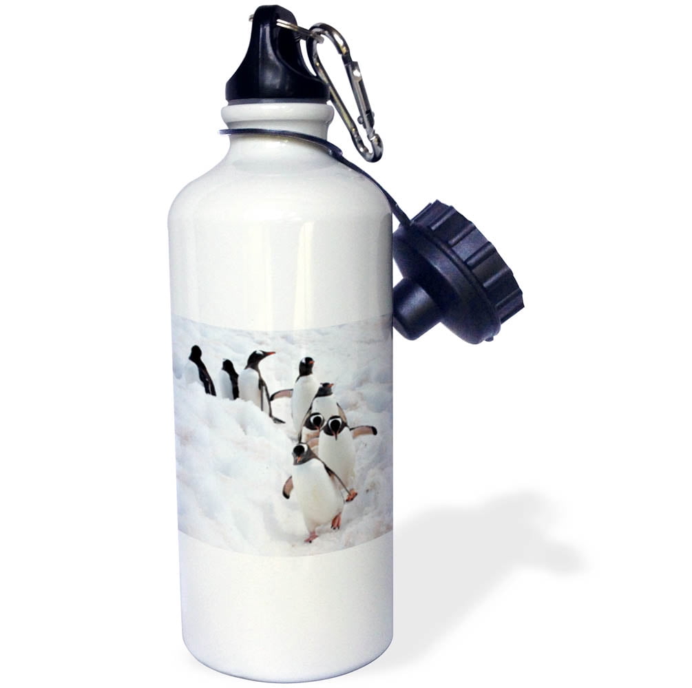 Corkcicle 16oz Premium Colors Canteen Monogram It-personalized-water Bottle-gifts  Beach Canteen Pool Canteen Great Gift 