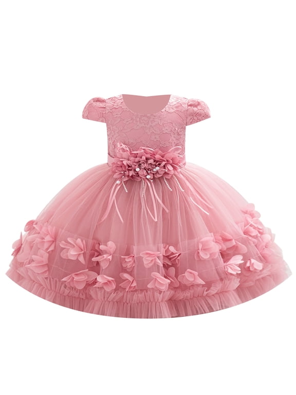 Baby Toddler Flower Girl Dress Lace Tulle Birthday Pageant Gown 1-5 Years 3D Flowers Formal Dress Toddler Wedding Guest Dress Baby Girl First Birthday Party Princess Baptism Dresses