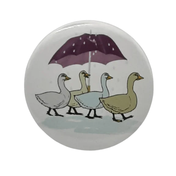 Day for Ducks