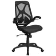 thumbnail image 1 of High Back Transparent Black Mesh Executive Ergonomic Office Chair with Adjustable Lumbar, 2-Paddle Control & Flip-Up Arms, 1 of 8