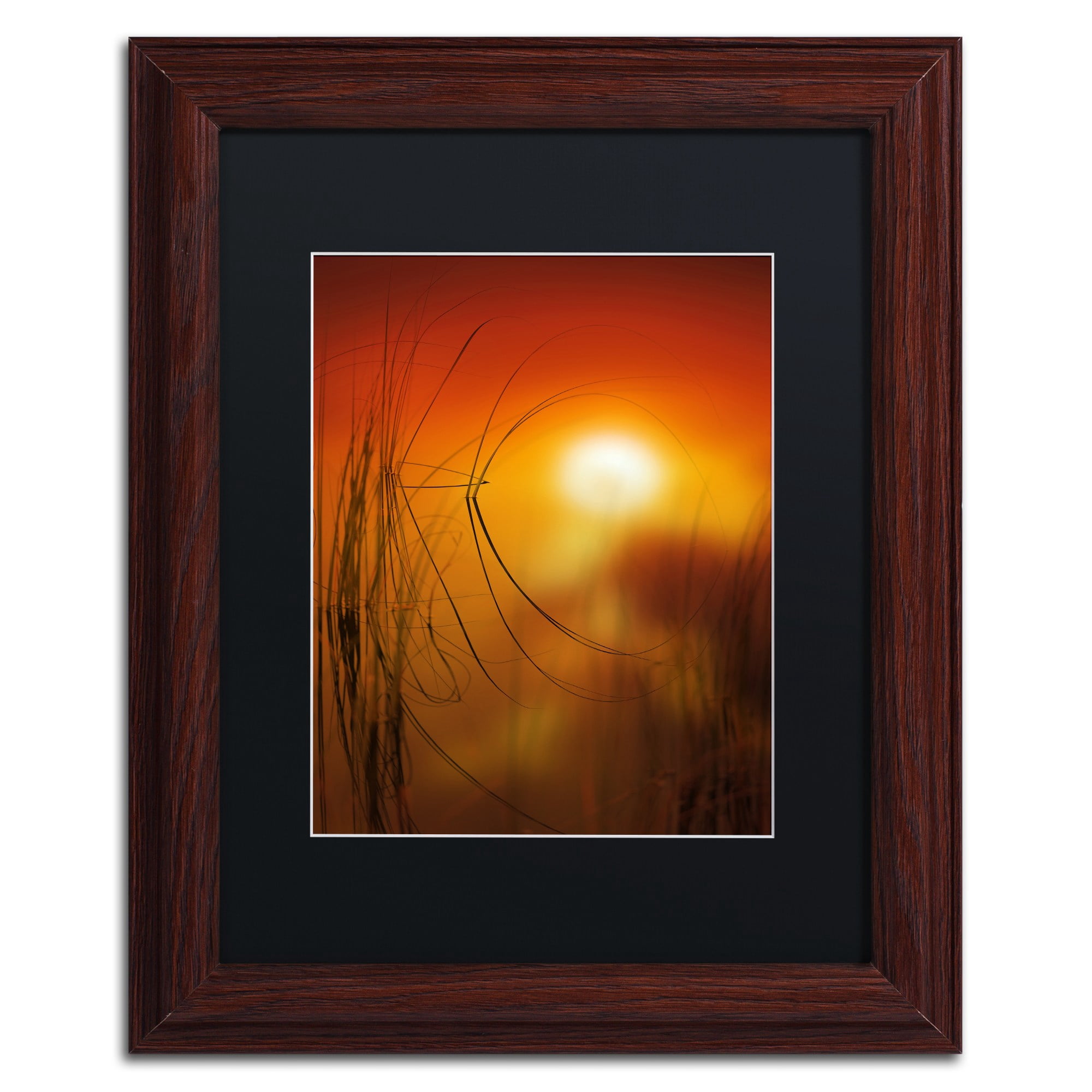 Trademark Fine Art "Nature Time Machine" Canvas Art by Philippe Sainte-Laudy Black Matte, Wood Frame