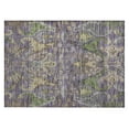 thumbnail image 2 of Addison Rugs Chantille Indoor/Outdoor Transitional Global Purple Washable Rectangle Rug, 1'8" x 2'6", 2 of 6