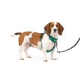 thumbnail image 1 of Arnés para perros PetSafe Easy Walk Comfort No-Pull Green S/M, 1 of 5