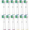 thumbnail image 5 of BRILLAR Paquete de 12 cabezales de repuesto Sincero para cepillo de dientes eléctrico Oral B, 5 of 5