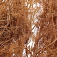 thumbnail image 5 of Diy Quinoa Modelo Natural Diy Paisaje Para Rr Tren Diorama Paisaje, 5 of 5