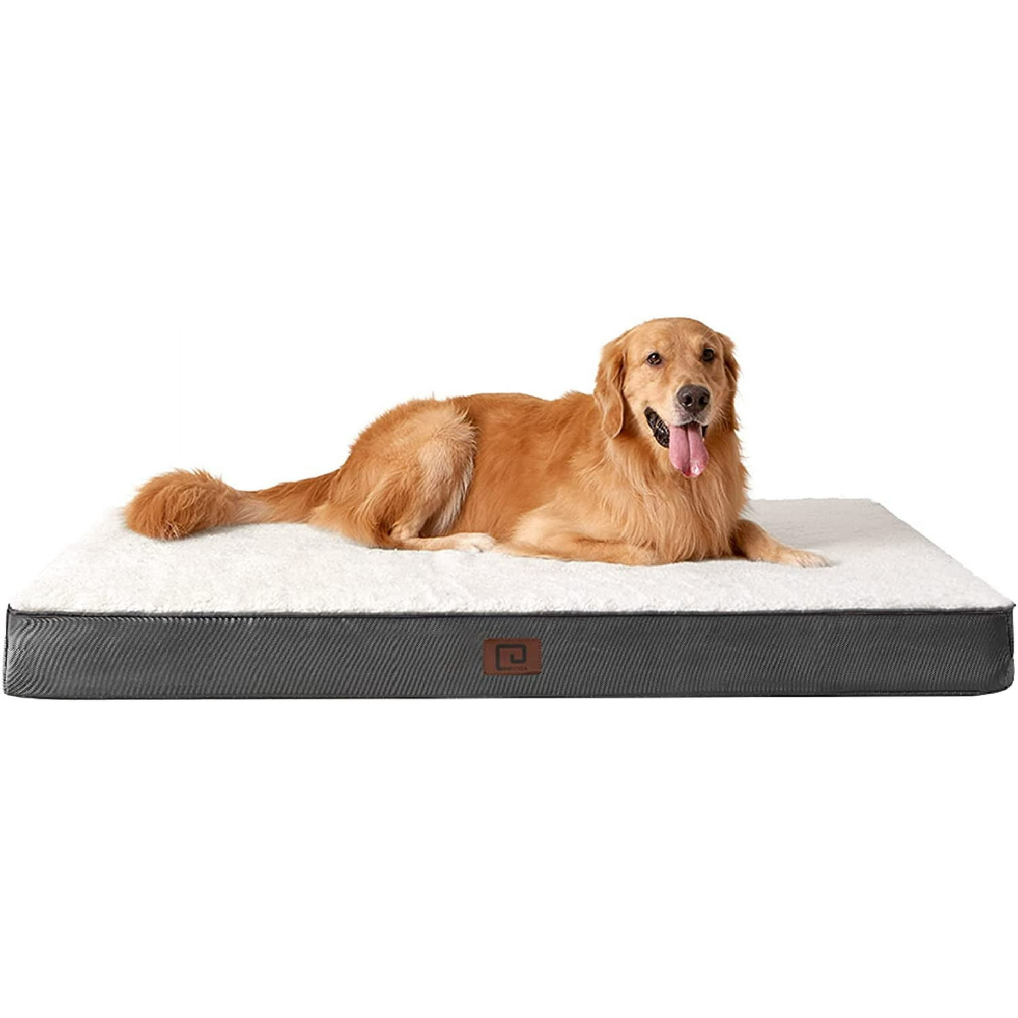 Big dog mattress outlet
