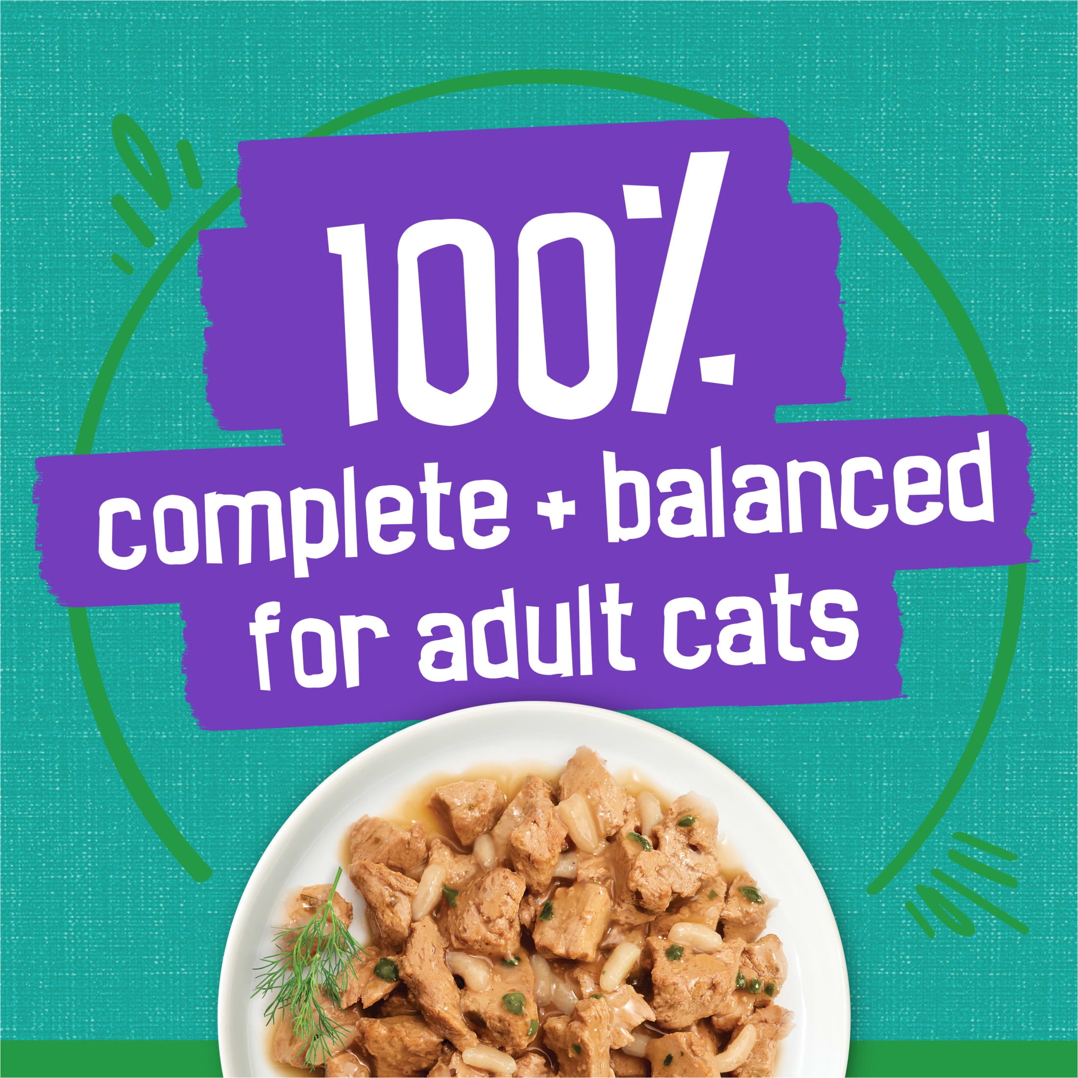 (12 pack) Purina Friskies Indoor, Saucy Seafood Bake, Wet Cat Food, 5.5 oz Can
