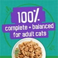 thumbnail image 5 of Purina Friskies Indoor, Saucy Seafood Bake, Wet Cat Food, 5.5 oz Can, 5 of 9