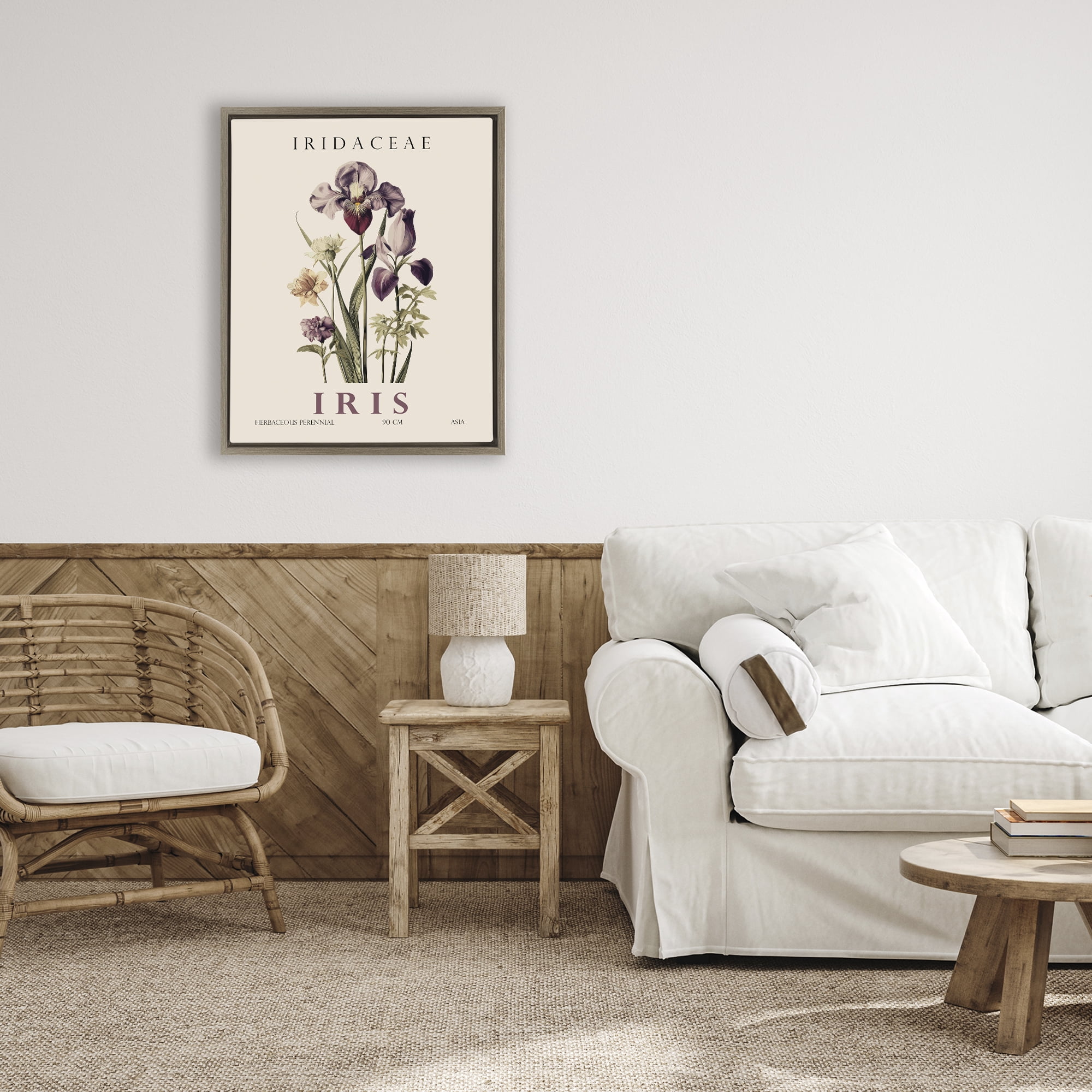 Stupell Industries Natural Iris Bundle Brown Framed Floater Canvas Wall Art, design by Christopher Giampietro
