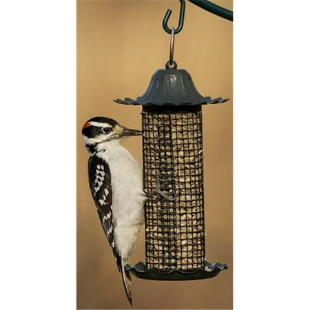 Little Bit Feeders Sunflower Feeder Walmart Canada