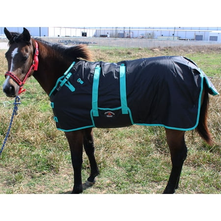 600D Miniature Weanling Donkey Pony Horse Foal Winter Blanket (Best Winter Horse Blanket)