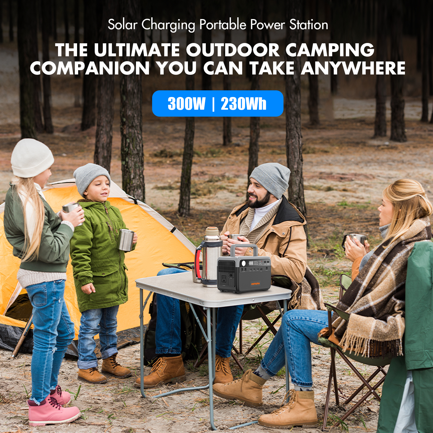 Hepway H30 Portable Power Station,300W Solar Generator,288Wh  LiFePO4 Battery,2 AC 120V Outlets,PD 100W USB-C Output w/ LED, 90000mah Power Bank for Hurricane Emergency Outdoor Camping RVs Home Use