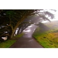 thumbnail image 2 of Johnson, George 18x13 Black Ornate Wood Framed with Double Matting Museum Art Print Titled - Foggy Path, 2 of 4