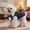 Dark Blue, variant on Velvet Dog Tuxedo with Detachable Bowtie, Formal Wear Suit for Small Dogs Wedding Prom Events,XS,Red