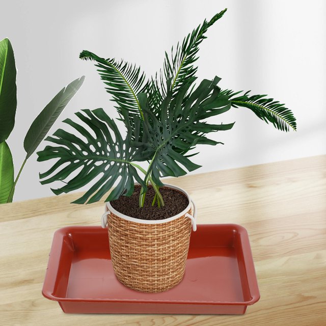 Nestingho 10Ud Bandejas Para Plantas Para Interiores Con Duradero Y Material Plástico Oscuro