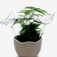 thumbnail image 2 of Glass Plant Watering Globes, Self Watering Globes Bird Shape, Self Watering Planter Insert, Plant Watering Devices, Automatic Plant Waterer Indoor, Watering Bulbs, 4 Pack, 2 of 7