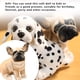 thumbnail image 5 of Simulación de juguetes de peluche para mascotas, muñeco con relleno de animales, juguete lavable para niños pequeños, bonita fiesta de Animales de peluche y juguetes de peluche Tipo 6 Sentado Tholdsy FN010415-12, 5 of 6