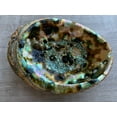 thumbnail image 2 of Abalone Shell, Seashell Incense Burner, Smudge Bowl / Holder, 2 of 14