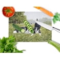 thumbnail image 2 of Carolines Treasures FRF0014LCB Lets Play Border Collie Glass Large Cutting Board, 2 of 2