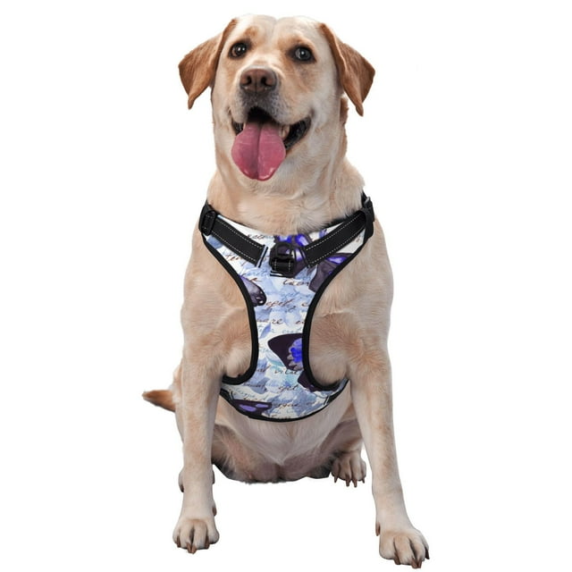 Balery Butterflies Arnés para Perros Grandes Antitirones, Arnés con Correa para Gato, Arnés Tipo Chaleco para Perros Pequeños-Medium
