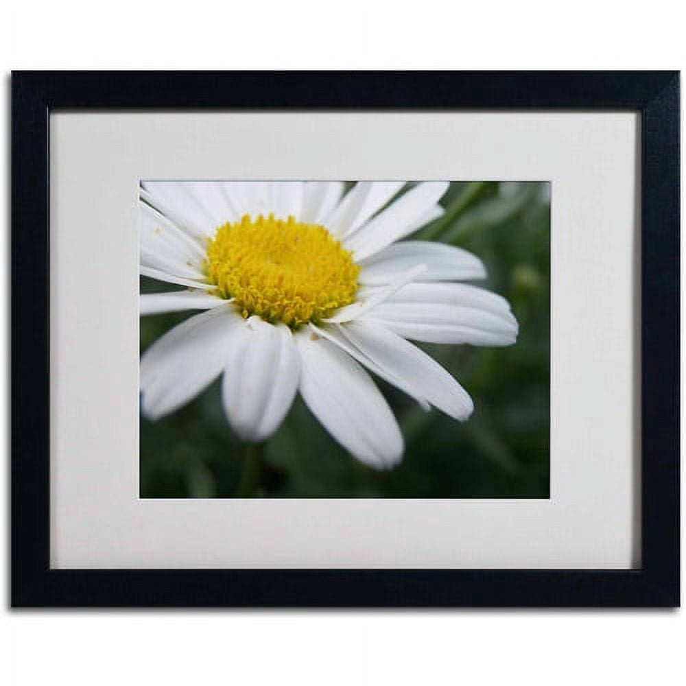 Trademark Fine Art "Simplistic" Canvas Art by Monica Fleet, White Matte, Black Frame